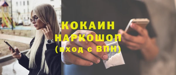дживик Елабуга